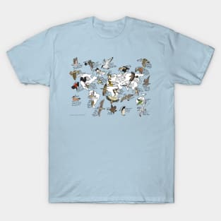 Bird migration map T-Shirt